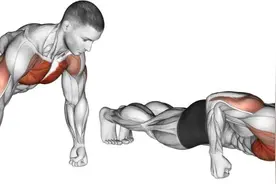 最全面的俯卧撑教程，最清晰的动图演示！图片