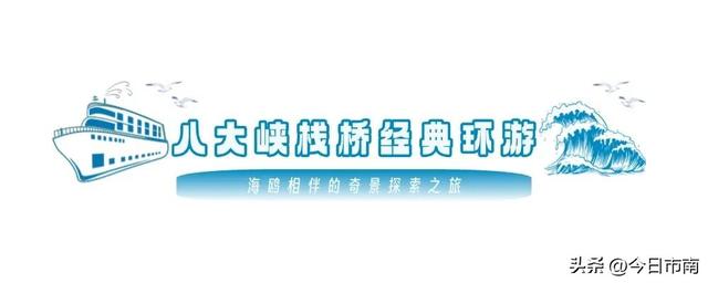 冬日限定浪漫！跟着蒋欣去海上喂海鸥！