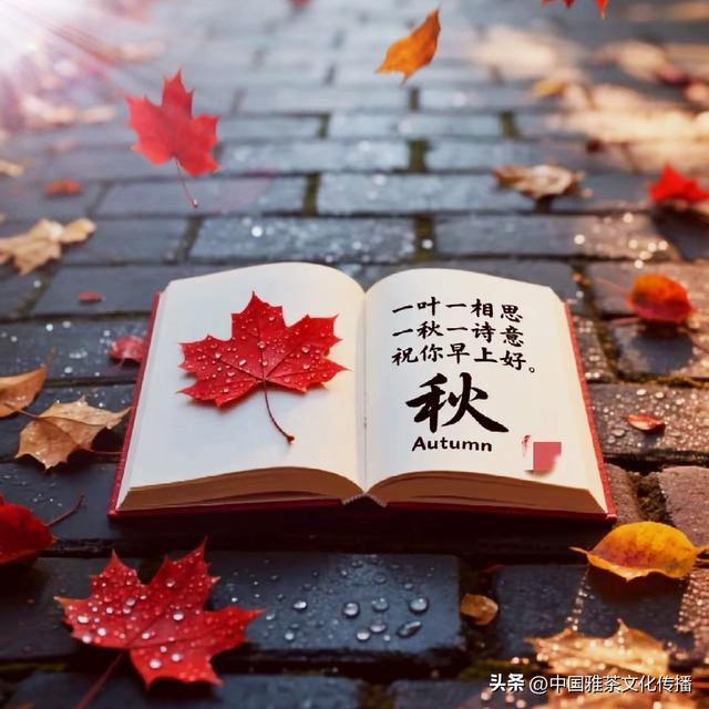 嘉州茶聚，韵逸时光