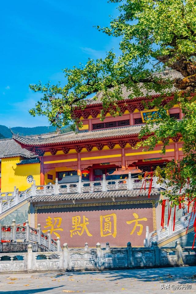 江西文旅为什么不宣传明月山？藏有世界罕见温泉，还有千年古银杏