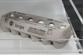 美国鸡蛋价格创历史新高，墨西哥走私鸡蛋的行动增加图片