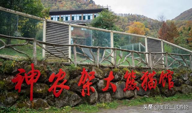 三峡游轮最豪华排名top3!长江三峡旅游,选ta就对了!