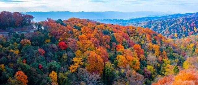 广元旺苍，倒也不必美得如此满分！！！