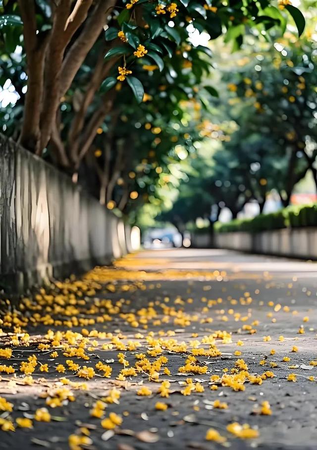 甘海斌：咏花诗词五首