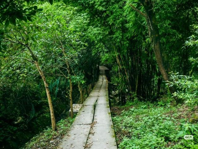 重庆南山有一座荒废庄院，曾是停放棺材的地方，胆小的人不敢靠近