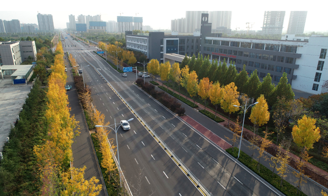 金黄的银杏、火红的枫叶……邢台市区秋叶观赏指南来了！