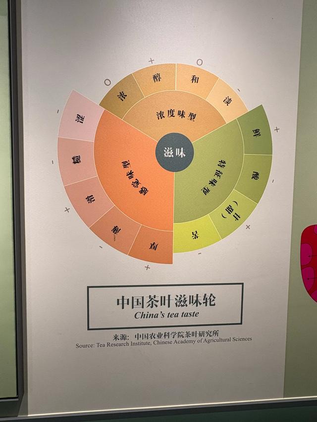 杭州小众游玩路线，茶叶博物馆和浙江美术馆半日游，建议收藏