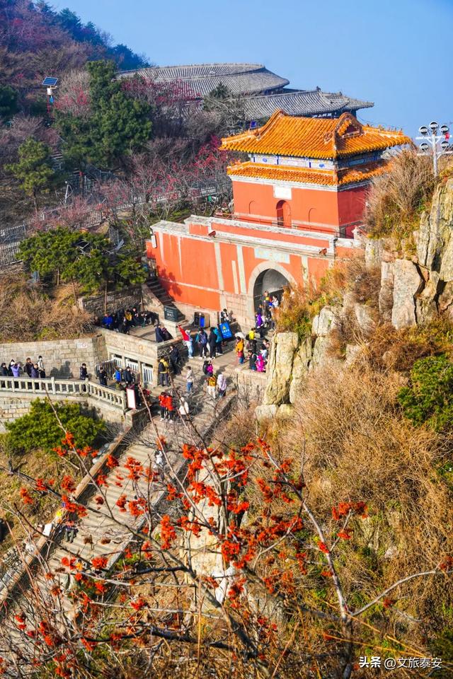 冻到发抖却爽到炸?泰山上的风景,让我懂了什么叫“ 冷并治愈着” ~