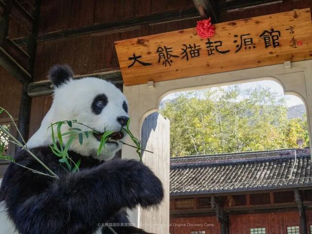 【跟着川超游雅安】2025年雅安秋季精品旅游线路来啦！