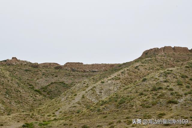 海边游记｜沙海狂飙与绿洲寻踪：内蒙古腾格里沙漠一日“历险记”