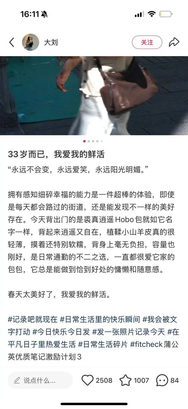 登上双11榜单前三的裘真，如何摸着山下有松过河?