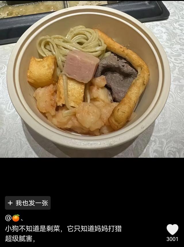 笑死了！女子喂烤肠店老板的狗吃烤肠，老板：那不干净，别给它吃
