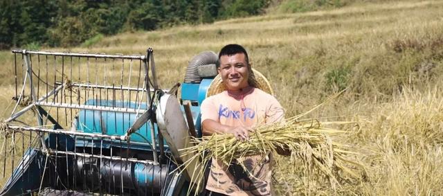 在连山，如何让一片梯田重获新生