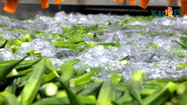 【寻美临泽·乡村漫行】灵秀沙河：一城诗意逐风光#厚道甘肃#