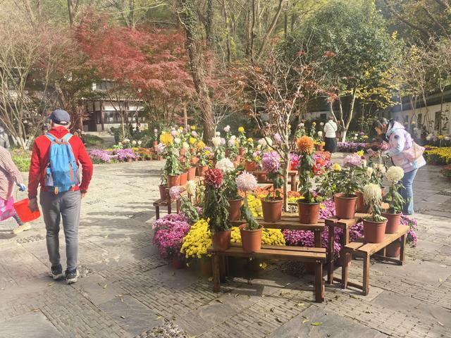南京栖霞山一日徒步，游千年古刹，看漫山红叶