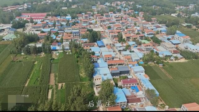 魅力曹县楼庄镇