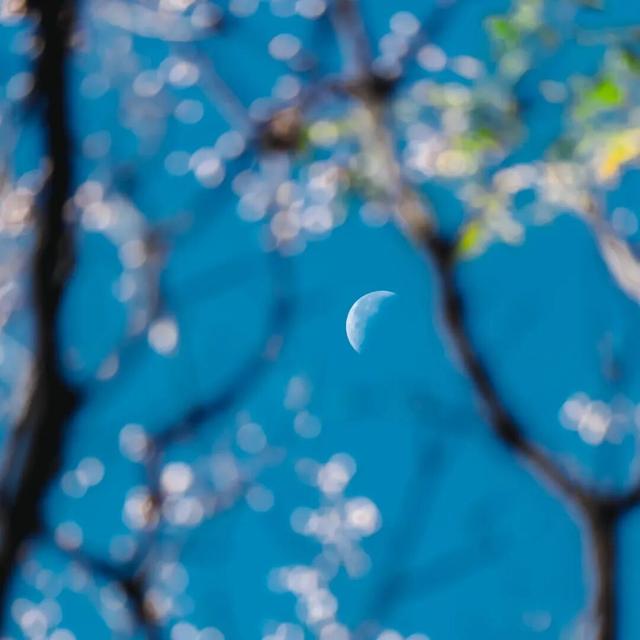 【多图预警！】这里不是5A景区，是鲁南制药！