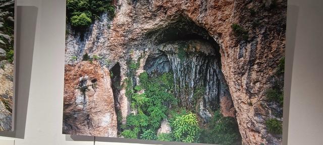 心心念念的大秦岭