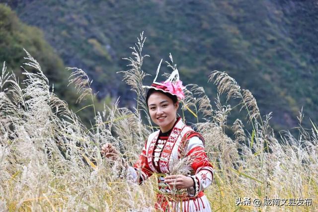 谁说冬日萧瑟？白马河畔，正藏着一个“暖色系”的冬天