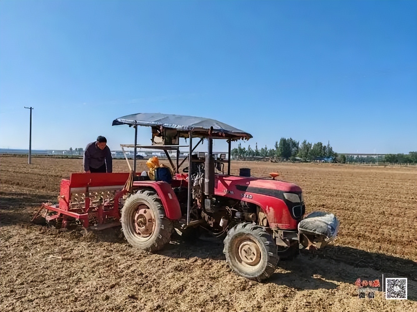 【小麦播种】山东小麦播种最迟到什么时间,亩最大播量多少斤?(图3) 【小麦播种】山东小麦播种最迟到什么时间,亩最大播量多少斤?(图3)