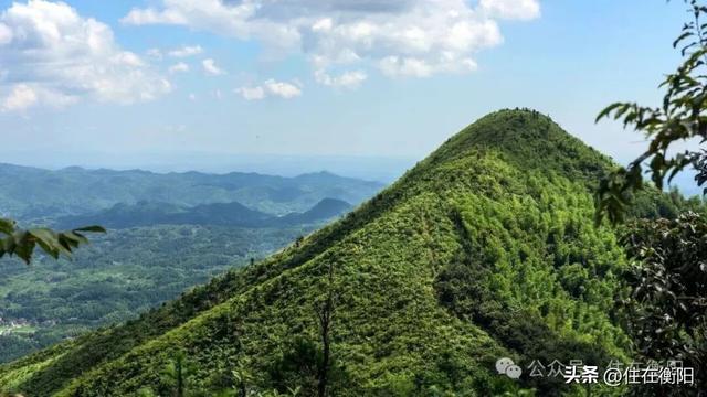 总投资7266万元！衡阳一森林公园启动创4A景区