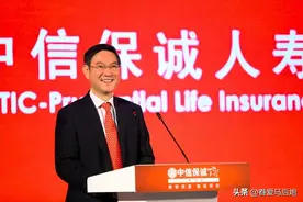 保险大佬赵小凡与他前同事们的升官发财梦破灭记图片