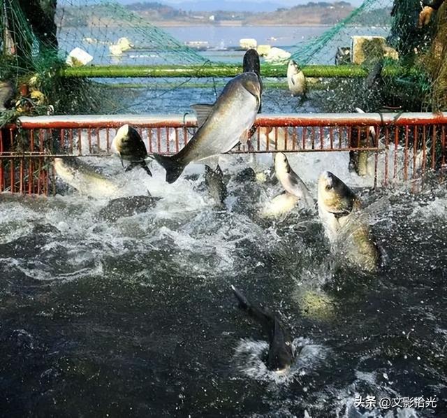 文影拾光II万佛湖记：碧波载史，清流润今