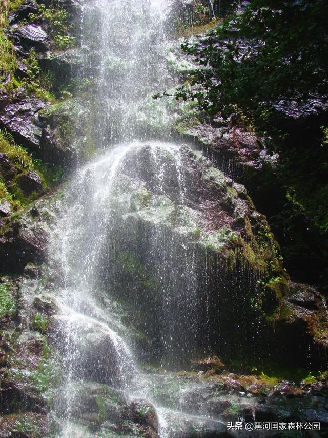 绿野仙踪+山水秘境！快来黑河抓住夏天的尾巴，奔赴一场绿意清凉之约