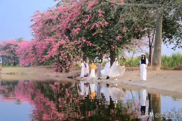 这个鲜花盛开的地方，去过的人都说好！