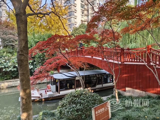 “深秋多巴胺”上新！ 在家门口遛弯就能邂逅莫奈限定版河道美景