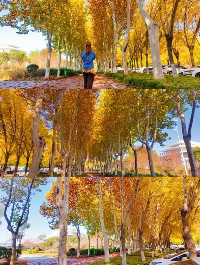 此刻的临沂，把清欢藏进风景里