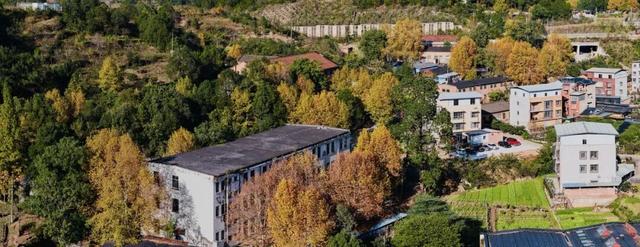 2025利州秋色，每一帧都是限定浪漫