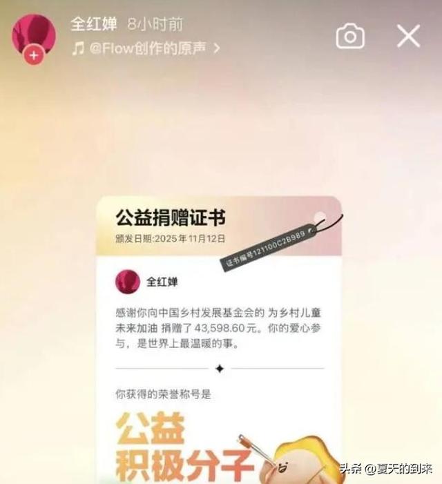 陈芋汐也没料到，结束全运会赛程的全红婵，却走上了另一条新路