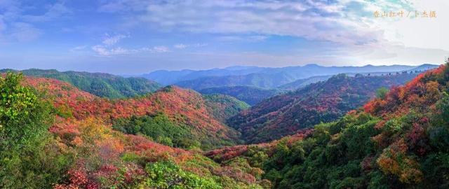 The Qinling Mountains in painted splendor｜秦岭彩叶大赏，美到“巅峰”