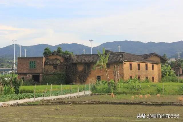 那年我相亲失败，和女同学一起回家，她把我摁树上：你觉得我咋样
