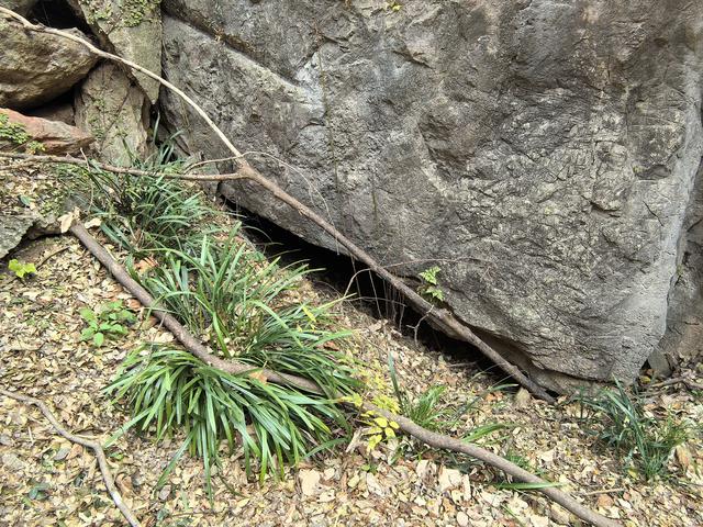 南京江宁大连山金陵四十八景之虎洞明曦，佘村丹霞山一日郊野徒步