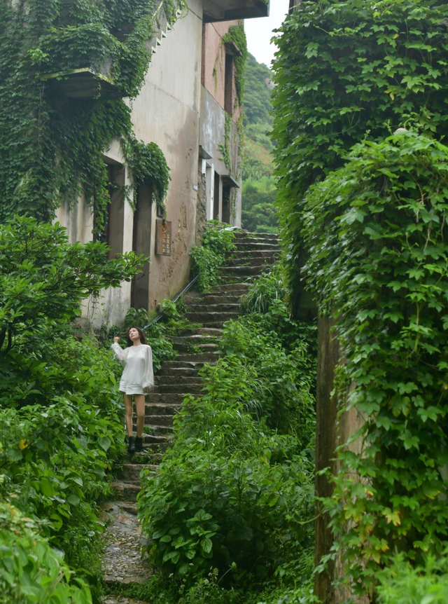 从你的全世界路过81：墟村浮光