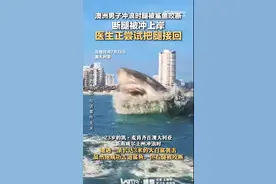 澳洲男子冲浪时腿被鲨鱼咬断 断腿被冲上岸 医生正尝试把腿接回图片