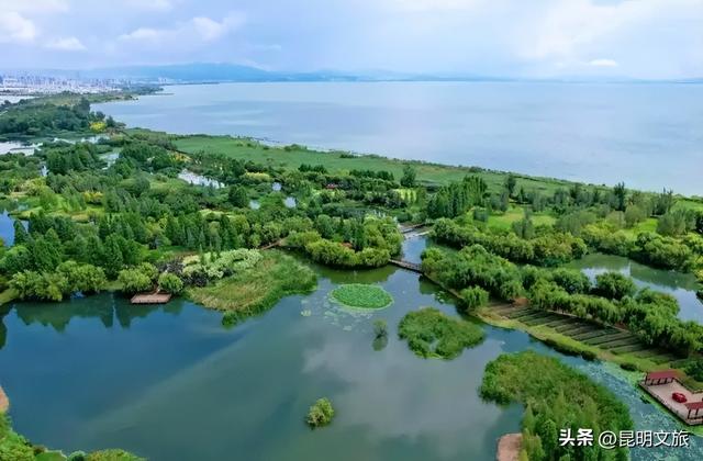 超详细攻略！在昆明官渡，与鸥共舞，六种玩法开启冬日漫游！