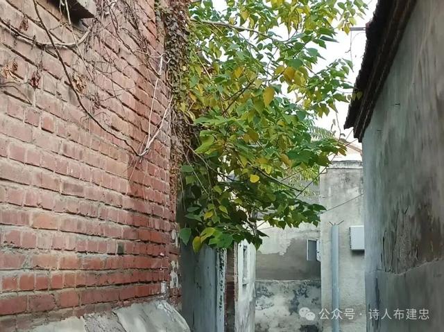 寻访济南老街巷——水胡同