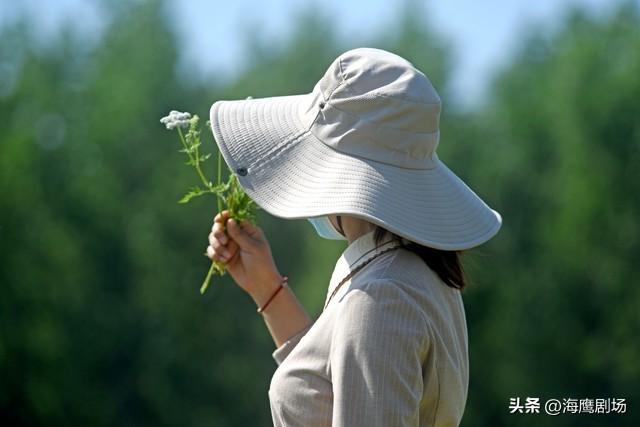 四段式两性关系：从相识到陪伴，哪个阶段最让人难忘
