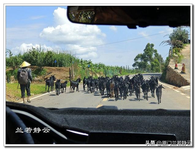 云南楚雄：元谋浪巴铺土林的地质奇观（含攻略）