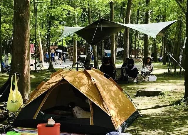 新津人的“小美满”，开启全民晒太阳模式