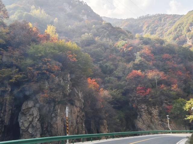 南行漫记：从卢氏走陕西S101红叶大道到南五台服务区露营