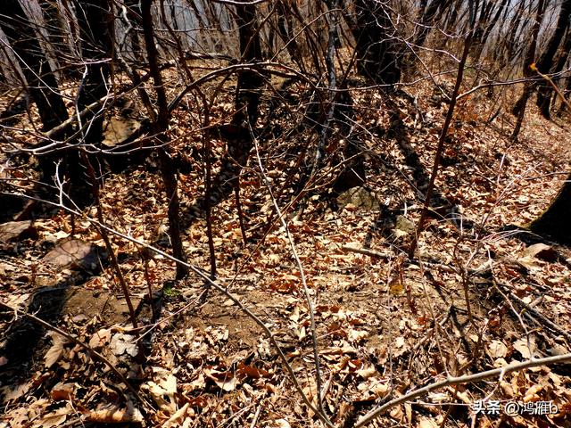 明长城本溪段全程探寻