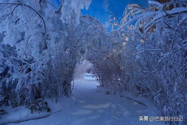 东北这座小城，比哈尔滨更具性价比，物价不高风景漂亮适合旅居