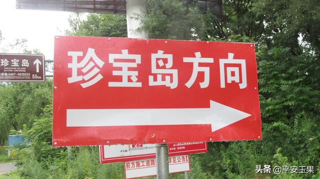 去珍宝岛，只为一个童年的心愿