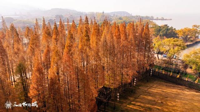 秋日预“景”！接下来的三国水浒城是这样的~