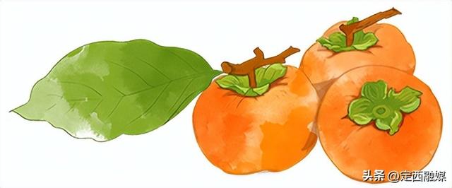 秋日临洮漫游记：20分钟邂逅公园的诗意