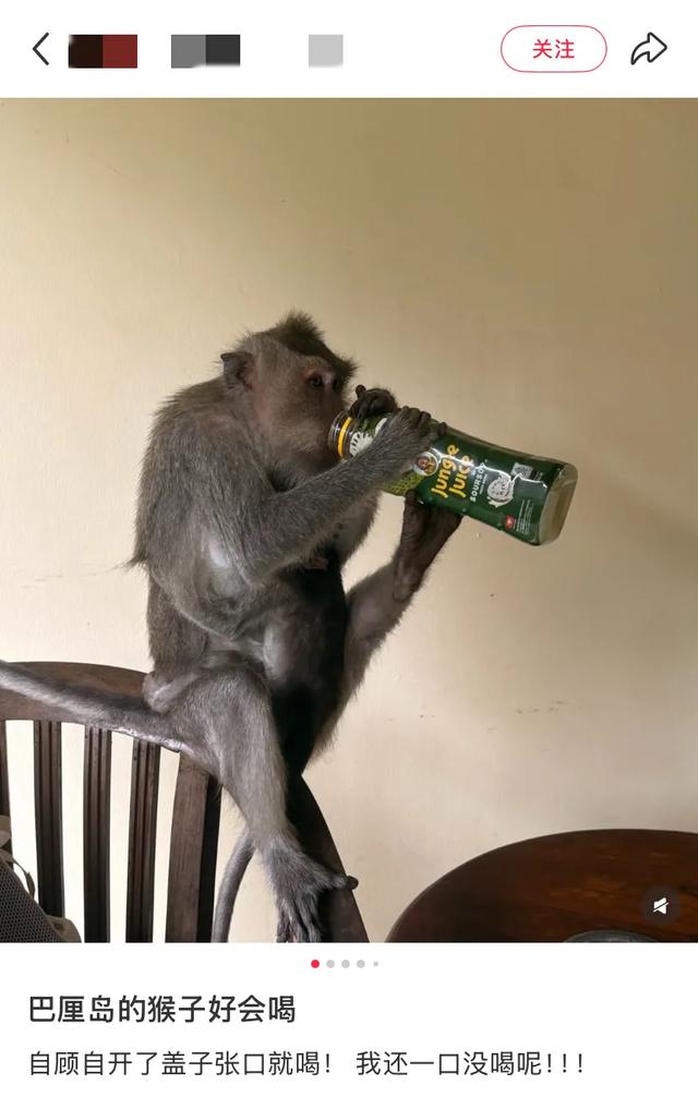 阻止我去巴厘岛旅游的唯一理由: